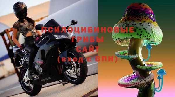 эйфоретик Алексеевка